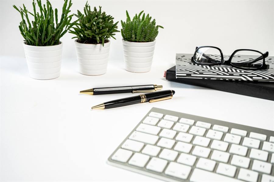 観葉植物とキーボードのある明るく整ったデスク